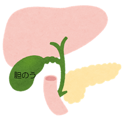 胆のうとは？